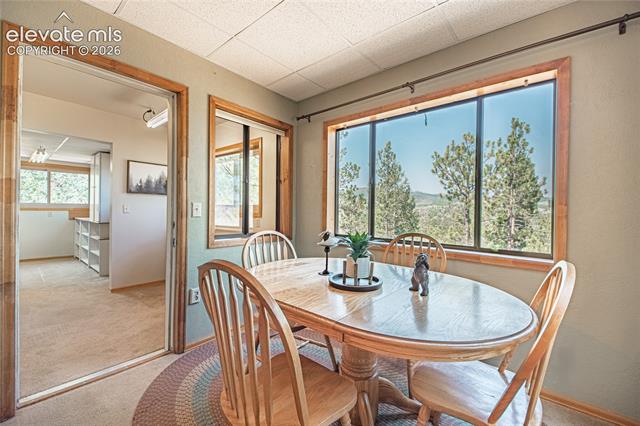 MLS Image for 76  Pine  ,Woodland Park, Colorado