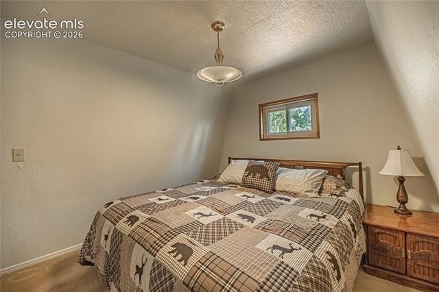 MLS Image for 76  Pine  ,Woodland Park, Colorado