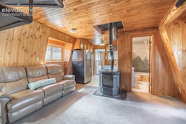 MLS Image for 76  Pine  ,Woodland Park, Colorado