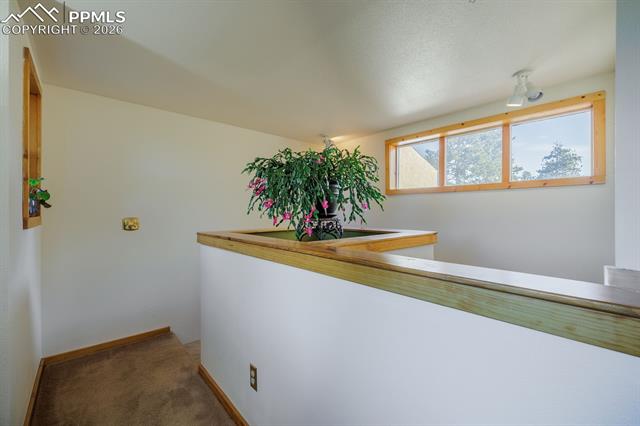 MLS Image for 240  Crestwood  ,Woodland Park, Colorado