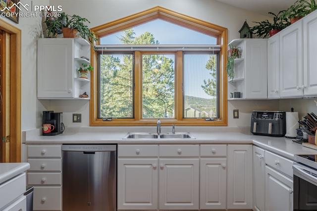 MLS Image for 240  Crestwood  ,Woodland Park, Colorado