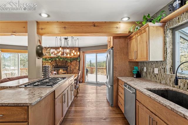 MLS Image for 1738  Wildhorn  ,Florissant, Colorado