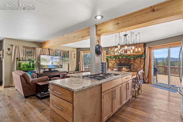 MLS Image for 1738  Wildhorn  ,Florissant, Colorado