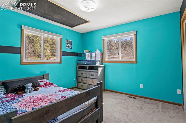 MLS Image for 1738  Wildhorn  ,Florissant, Colorado