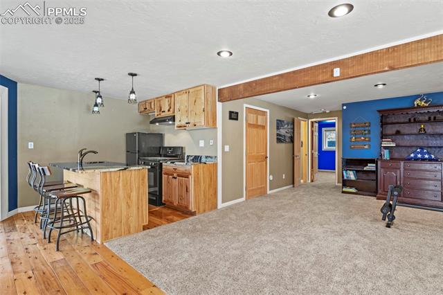 MLS Image for 1738  Wildhorn  ,Florissant, Colorado