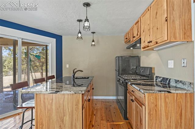 MLS Image for 1738  Wildhorn  ,Florissant, Colorado