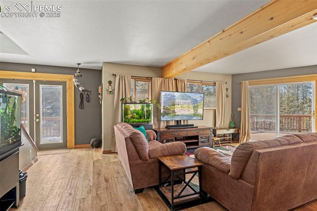 MLS Image for 1738  Wildhorn  ,Florissant, Colorado