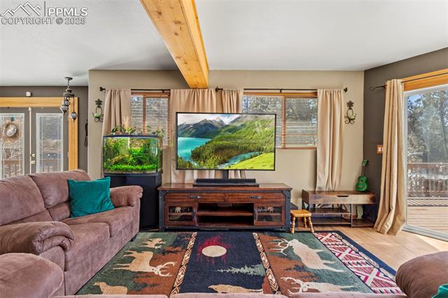 MLS Image for 1738  Wildhorn  ,Florissant, Colorado