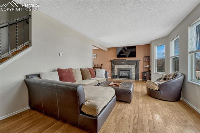 MLS Image for 4969  Cita  ,Colorado Springs, Colorado