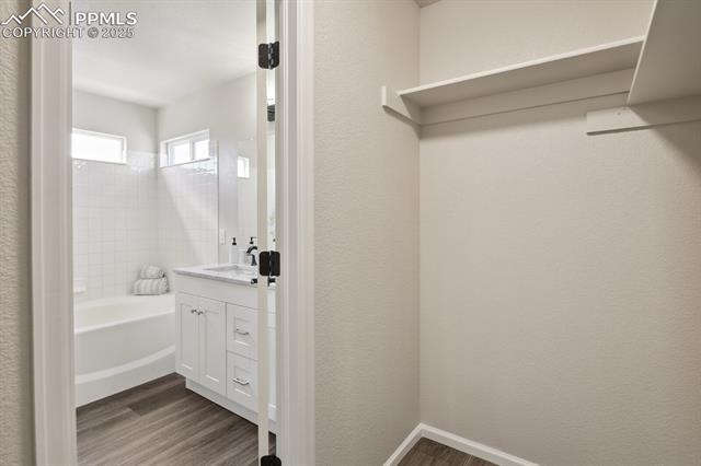 MLS Image for 3464  TAIL SPIN  ,Colorado Springs, Colorado