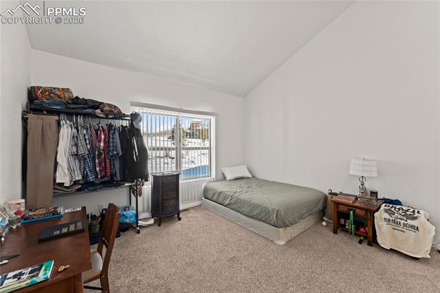 MLS Image for 112  Ridge Point  ,Divide, Colorado