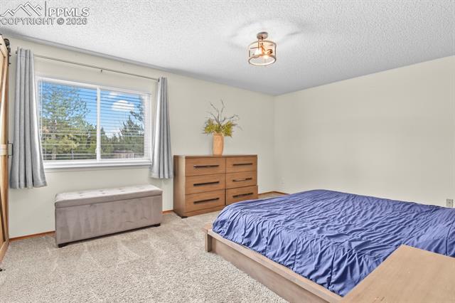 MLS Image for 8115  Tulip Tree  ,Colorado Springs, Colorado
