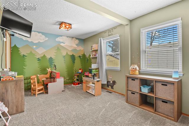 MLS Image for 8115  Tulip Tree  ,Colorado Springs, Colorado