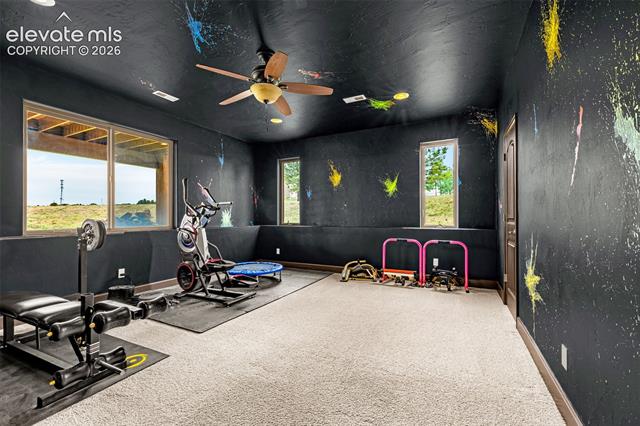 MLS Image for 16895  Horizon Ridge  ,Colorado Springs, Colorado