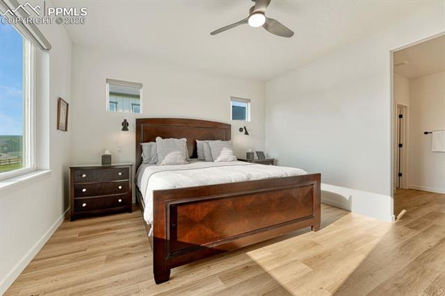 MLS Image for 10108  Owl Perch  ,Colorado Springs, Colorado
