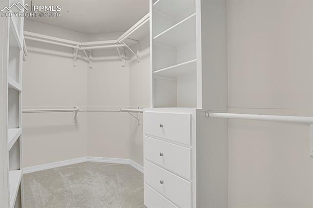 MLS Image for 4930  Langdale  ,Colorado Springs, Colorado