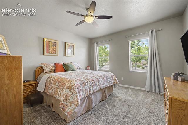 MLS Image for 6631  Dance Hall  ,Colorado Springs, Colorado