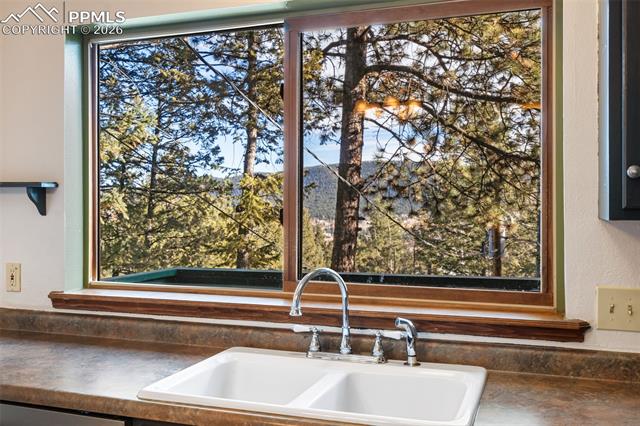 MLS Image for 464  Evergreen  ,Woodland Park, Colorado