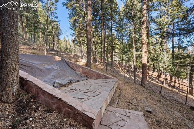 MLS Image for 464  Evergreen  ,Woodland Park, Colorado