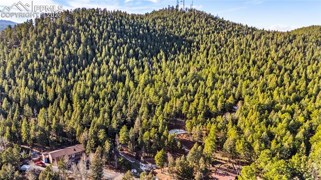 MLS Image for 464  Evergreen  ,Woodland Park, Colorado