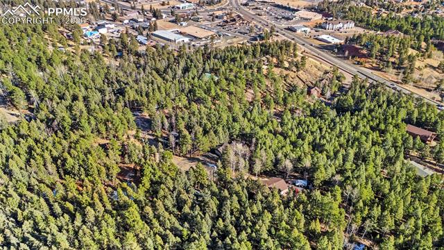 MLS Image for 464  Evergreen  ,Woodland Park, Colorado