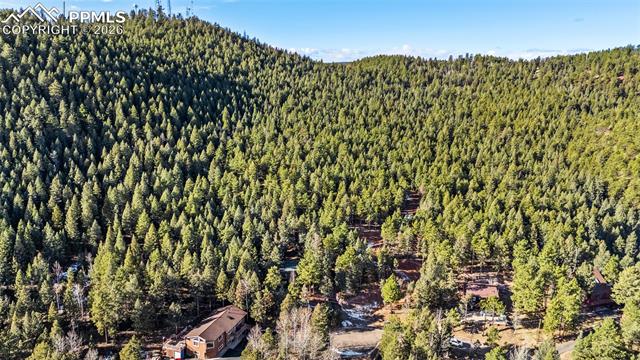 MLS Image for 464  Evergreen  ,Woodland Park, Colorado