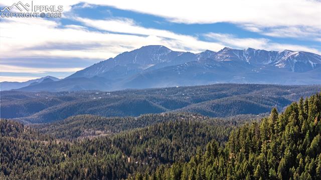 MLS Image for 464  Evergreen  ,Woodland Park, Colorado