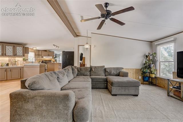 MLS Image for 784  Blossom  ,Woodland Park, Colorado