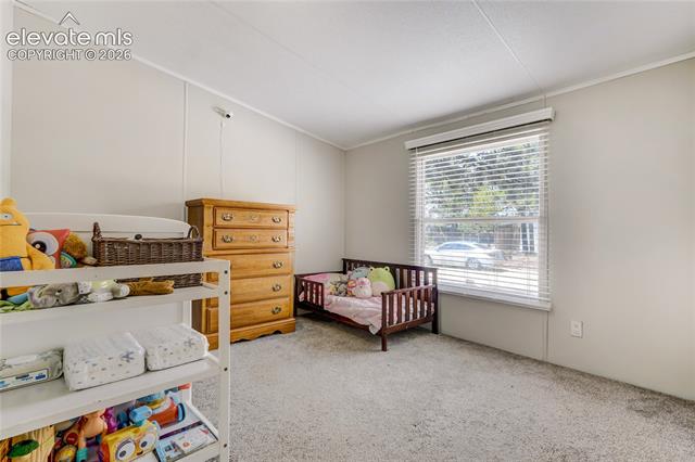 MLS Image for 784  Blossom  ,Woodland Park, Colorado