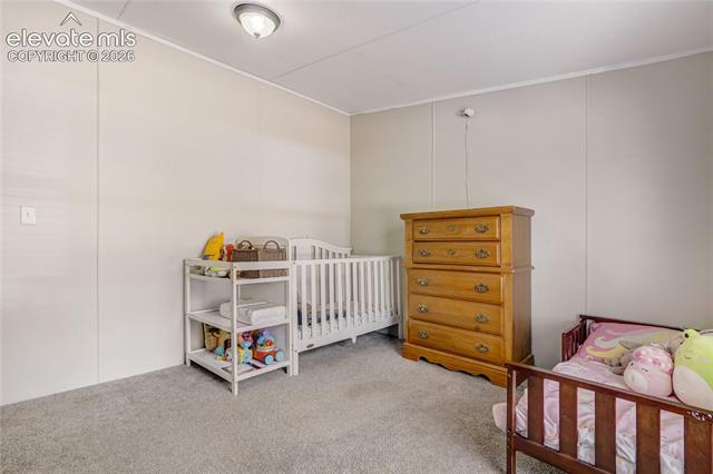 MLS Image for 784  Blossom  ,Woodland Park, Colorado