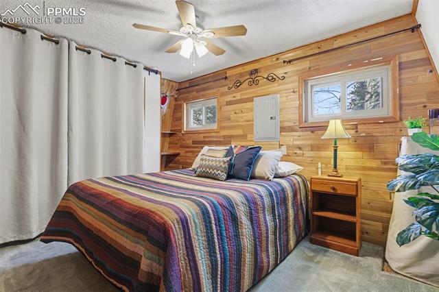 MLS Image for 76  Pine  ,Woodland Park, Colorado