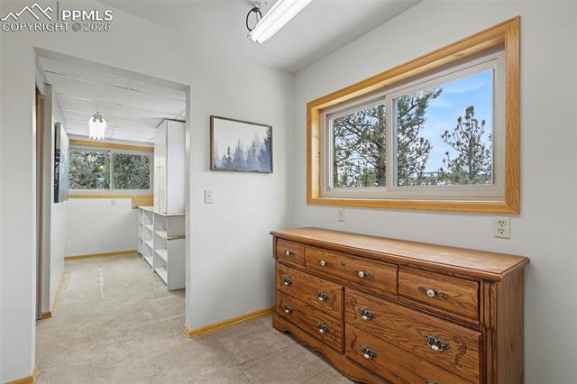 MLS Image for 76  Pine  ,Woodland Park, Colorado