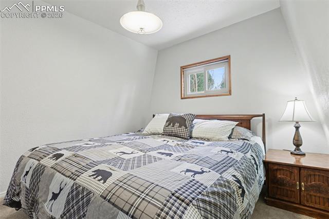 MLS Image for 76  Pine  ,Woodland Park, Colorado