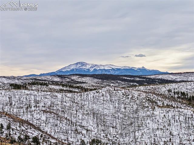 MLS Image for 76  Pine  ,Woodland Park, Colorado