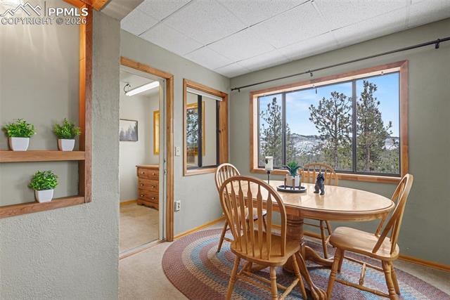 MLS Image for 76  Pine  ,Woodland Park, Colorado