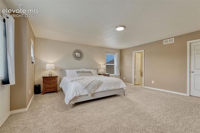 MLS Image for 2404  Shady Aspen  ,Colorado Springs, Colorado