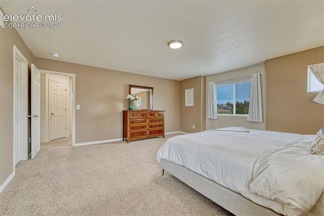 MLS Image for 2404  Shady Aspen  ,Colorado Springs, Colorado