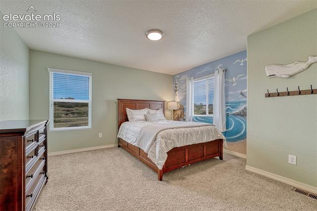 MLS Image for 2404  Shady Aspen  ,Colorado Springs, Colorado