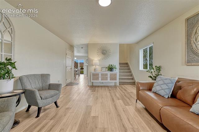MLS Image for 2404  Shady Aspen  ,Colorado Springs, Colorado