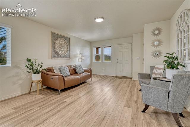 MLS Image for 2404  Shady Aspen  ,Colorado Springs, Colorado
