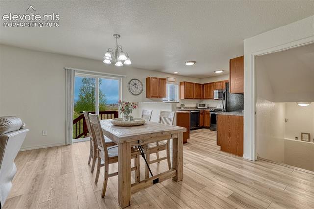 MLS Image for 2404  Shady Aspen  ,Colorado Springs, Colorado