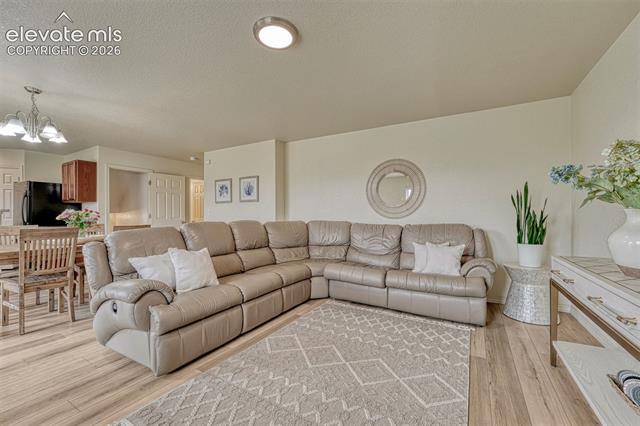 MLS Image for 2404  Shady Aspen  ,Colorado Springs, Colorado