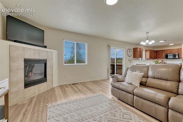MLS Image for 2404  Shady Aspen  ,Colorado Springs, Colorado