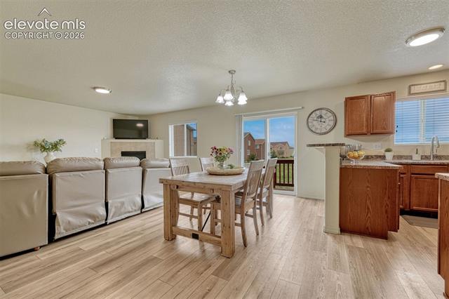 MLS Image for 2404  Shady Aspen  ,Colorado Springs, Colorado