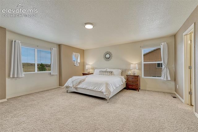 MLS Image for 2404  Shady Aspen  ,Colorado Springs, Colorado