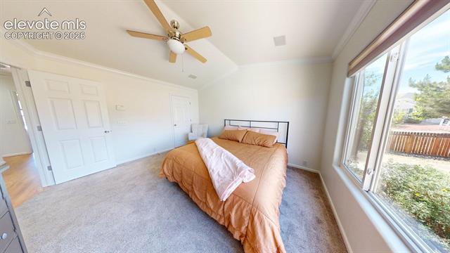 MLS Image for 6950  Flowering Almond  ,Colorado Springs, Colorado