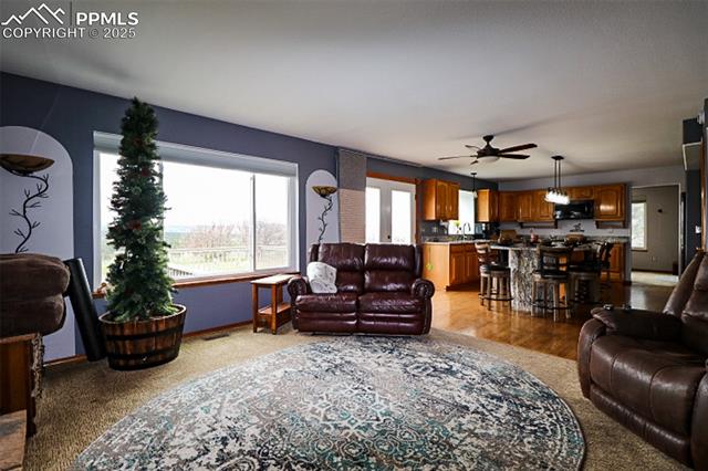 MLS Image for 3530  Doolittle  ,Monument, Colorado
