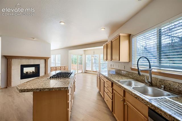 MLS Image for 11925  Hanging Valley  ,Colorado Springs, Colorado