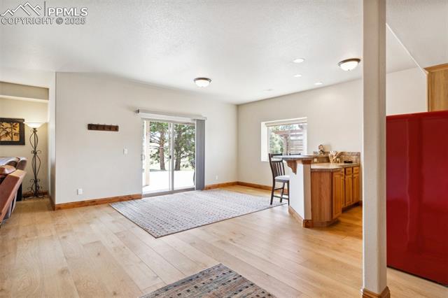 MLS Image for 17283  Carriage Horse  ,Colorado Springs, Colorado