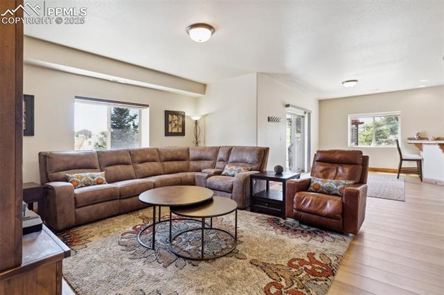 MLS Image for 17283  Carriage Horse  ,Colorado Springs, Colorado